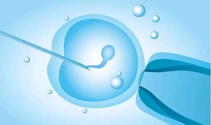 助孕最权威医院是哪家,深圳试管供卵生子助孕机构排名，附广东助孕机构一览
