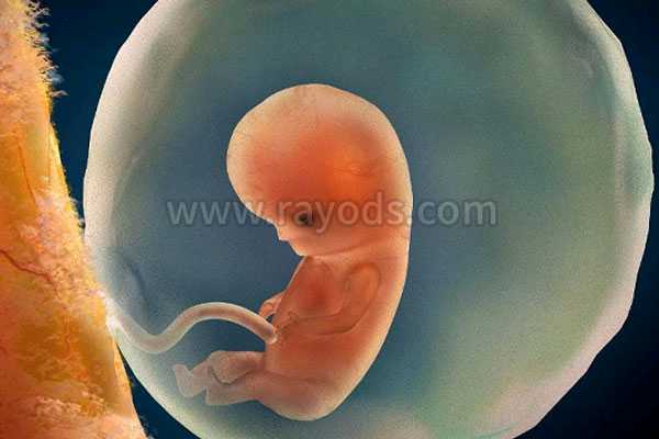 黄山区代孕成功案例,常见的试管婴儿移植后感觉-试管移植冻囊胚着床后可以吃