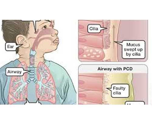 代怀孕公司,五险试管婴儿能报销吗，试管婴儿社保能报吗