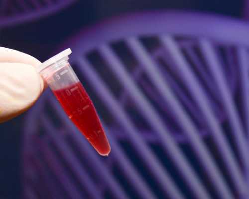 世纪助孕招聘_上海世纪助孕法定代表人,重庆供卵试管生双胞胎成功率 2024年重