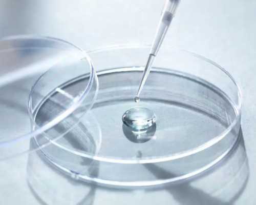 两女能不能生孩子,2025年女同性恋可以做试管吗