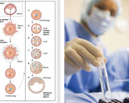 女生和女生怎么生共同的孩子,拉萨同性试管2代多少钱_三代试管助孕机构