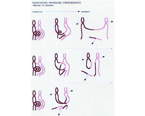 上海世纪助孕集团官网认准优贝贝助孕_广州世纪助孕机构靠谱吗,浙江供卵交流