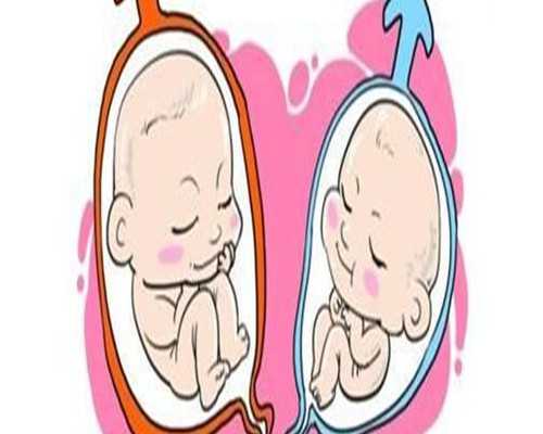 血沉高影不影响试管成功率(卵巢早衰会不会影响试管婴儿着床)