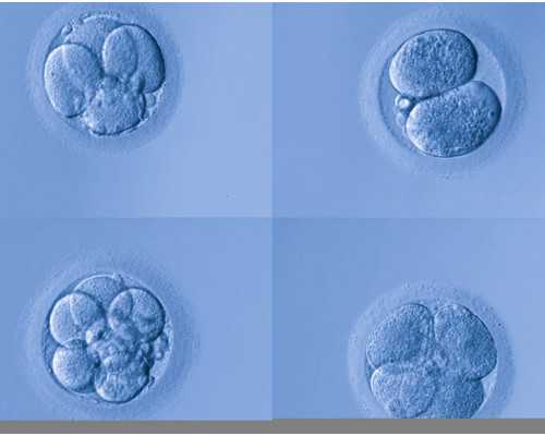供卵自怀费用,拉萨第三代试管整体费用明细表，一个周期费用6万左右！
