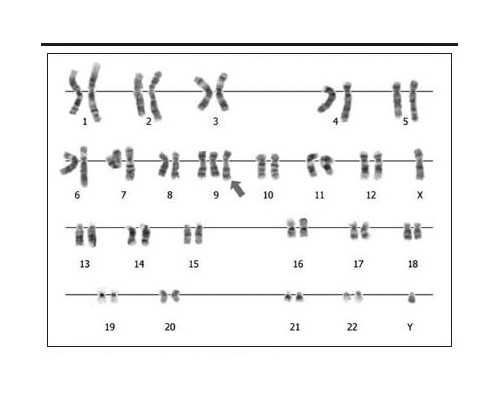 百合夫妻可以生孩子吗,2024
同性情侣可以通过试管助孕供卵生子吗