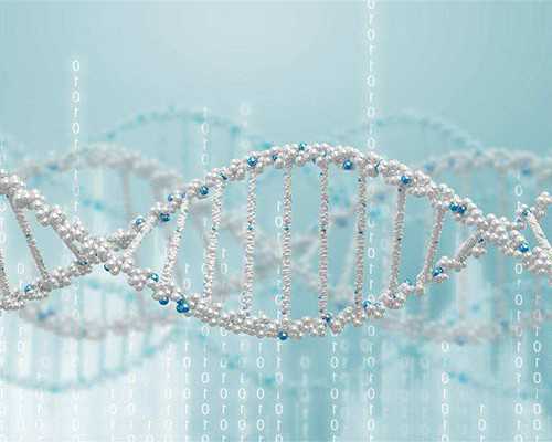 有喜国际助孕地址|2024年宜宾二医院做三代试管包生男孩价格是多少?