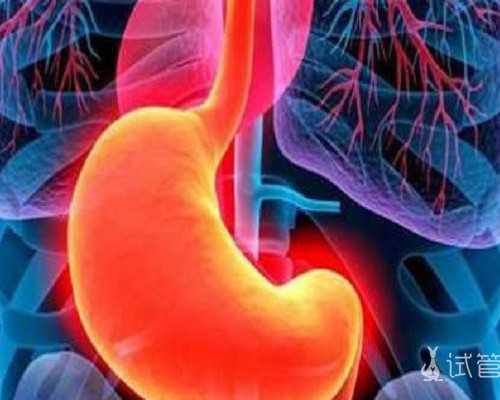 海螺的营养价值及功效 海螺不能和什么一起服用