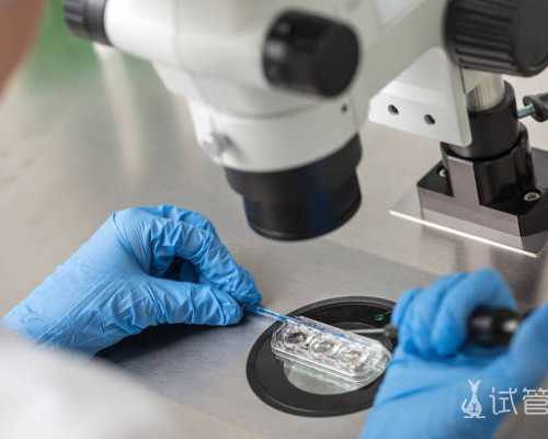 拉拉生孩子要多少钱,武汉私立供卵试管助孕机构同性恋可以做吗？