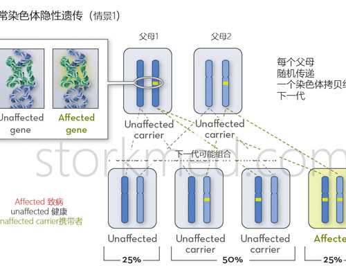 广州世纪助孕生殖中心怎么样_上海世纪助孕招聘,重庆失独助孕 重庆妇幼保健院