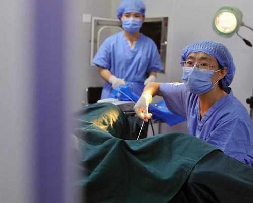 百合能生子吗,同性试管双胞胎,二代试管双胞胎男女比例