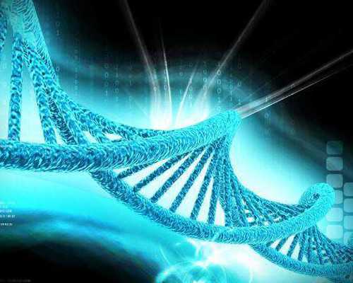 同性试管婴儿费用,男同性恋去美国做供卵试管婴儿要多少费用