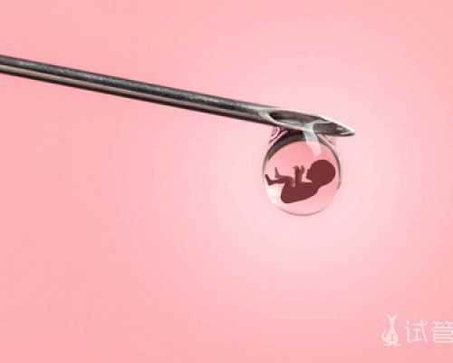 百合能生孩子吗,武汉私立供卵试管助孕机构同性恋可以做吗?