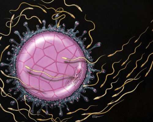 国妇婴将在同性南部奉贤开设新院区，未来规划设置一大波中心！预计2024年投