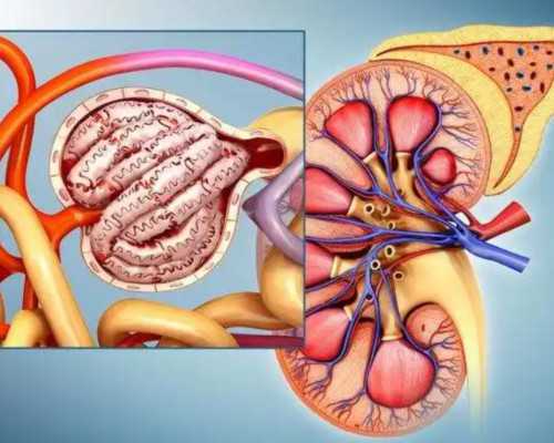 代生助孕服务机构,试管前做宫腔检查多久能好 试管前做宫腔检查多久能好啊