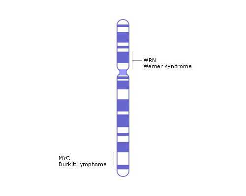 les单身试管,同性恋人可以做泰国试管婴儿生育宝宝吗？