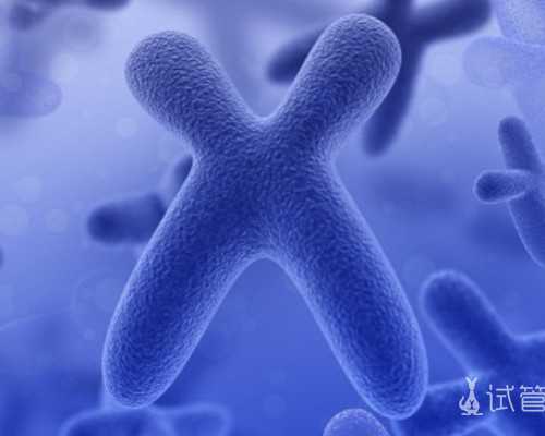 les生的孩子怎么教育,女同性恋做试管婴儿生孩子【备孕知识大全】