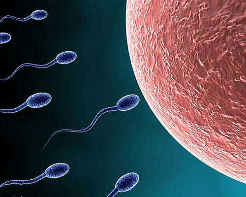 供卵助孕服务,四川民营医院排行榜来了，这篇文章告诉你答案