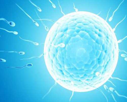 p形婚用t卵,试管婴儿助孕中心：同性可以试管婴儿么？