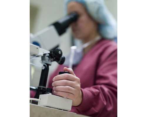 试管助孕如何保胎成功,延安哪里可以冷冻卵子?,延安试管供卵生子助孕机构排名