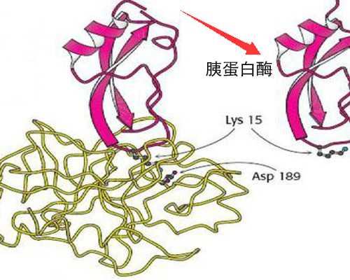 代生地址,37岁黄体期卵泡刺激素多少正常？