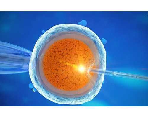 代怀包男孩,36岁基础卵泡数量16个怎么办？