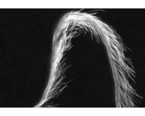 广州世纪助孕靠谱吗_广州世纪助孕中心,重庆借卵自怀成功率 重庆计生研究所精