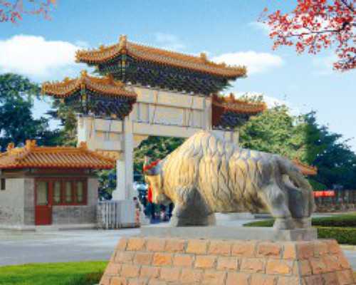 高端上海世纪助孕_广州世纪助孕公司,重庆代生得子 2024年重庆市试管婴儿排名