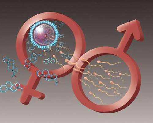 同性哪家医院做第二代试管婴儿的成功率比较高？