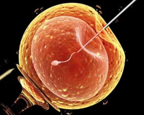 A卵B怀的孩子回国怎么上户,同性恋人可以做泰国试管婴儿生育宝宝吗？