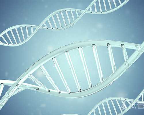 a卵b生是怎么形成的,甘孜同性群体可以做试管婴儿吗，同性试管注意的具体流程