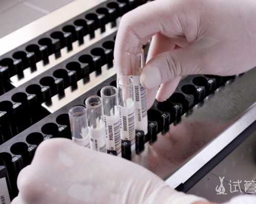 能做供卵试管么,石家庄最大助孕公司_正规助孕网