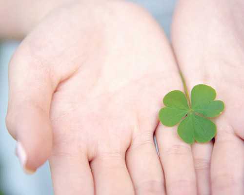 在沈阳204做二代试管婴儿大概要多少费用？