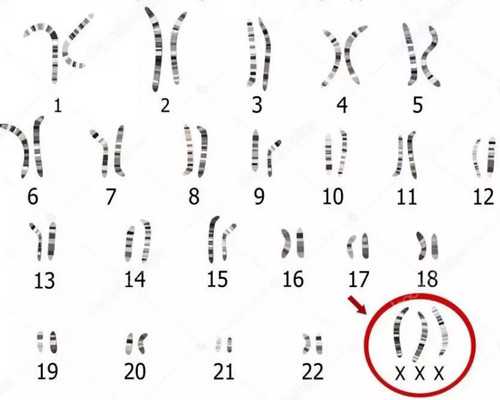 助孕网价格表查询,安徽私人试管助孕微信群真的存在吗?,比较大助孕公司价钱