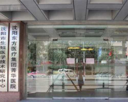 什么是t卵p生,2025年泰国通过同性婚姻合法化了吗？