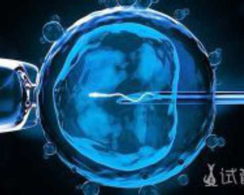 <strong>健美操基本步伐教案，小学体育面试完整步骤</strong>