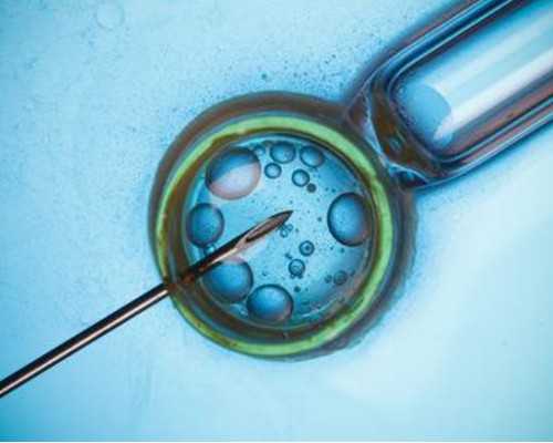 世纪助孕生殖中心_上海世纪助孕公司靠谱吗,重庆代生有什么要求吗 重庆北部妇