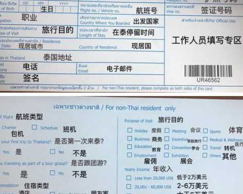 同性市泰孕健康咨询有限公司发布含有“供卵供精泰国试管婴儿服务”等字眼广