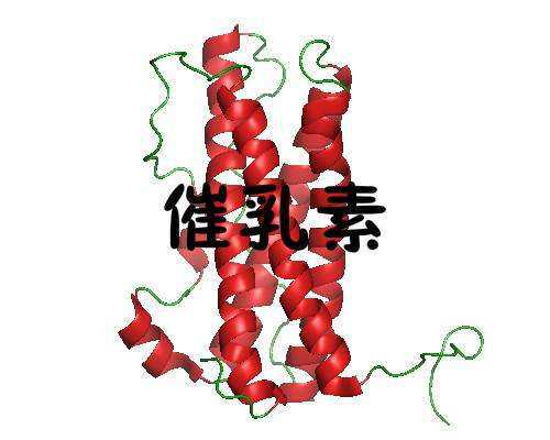 拉拉生孩子怎么上户口,武汉私立供卵试管助孕机构同性恋可以做吗？