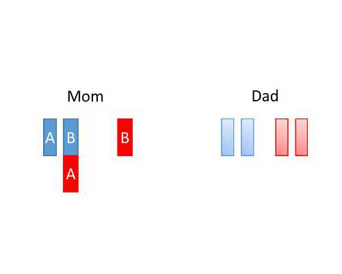 有偿助孕价格多少,徐州哪试管助孕呢？,徐州做试管婴儿大概费用多少，哪家助