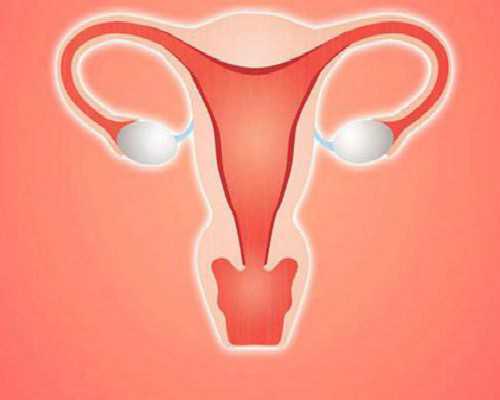 双胞胎助孕价格表,宁德最大的助孕公司优贝贝怎么找