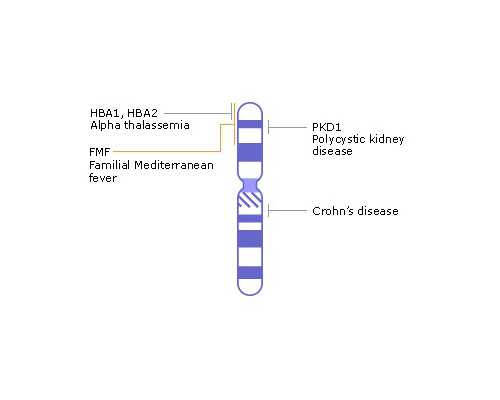 广州世纪助孕公司优贝贝助孕名医_广州世纪助孕公司总部,浙江供卵助孕什么价