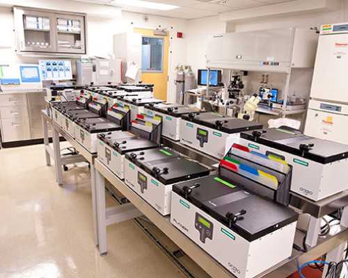 高端上海世纪助孕_广州世纪助孕公司,重庆单身女性试管代怀 重庆新冠疫苗接种