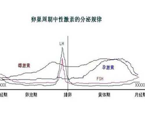 广州世纪助孕公司官网jci_上海世纪试管助孕中心,重庆最新专业供卵价格表 重庆