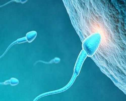 供卵试管排行榜,哈尔滨试管助孕公司_正规助孕中心