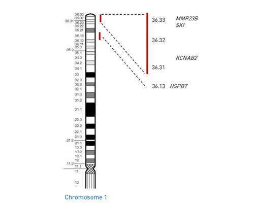 两个男生可以生孩子吗,同性供卵机构，最看重供卵者学历