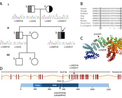 优贝贝官网广州世纪助孕公司_上海世纪助孕多少钱优贝贝助孕的电话,重庆试管
