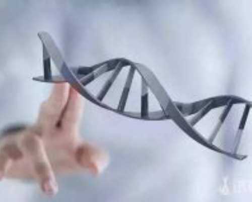 上海世纪助孕网_广州世纪助孕官网欢迎您,重庆地下供卵需要多少钱 重庆一公司