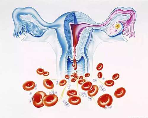 上海世纪助孕中心_上海世纪助孕公司招聘,重庆代怀孩子哪家便宜 2024重庆做试