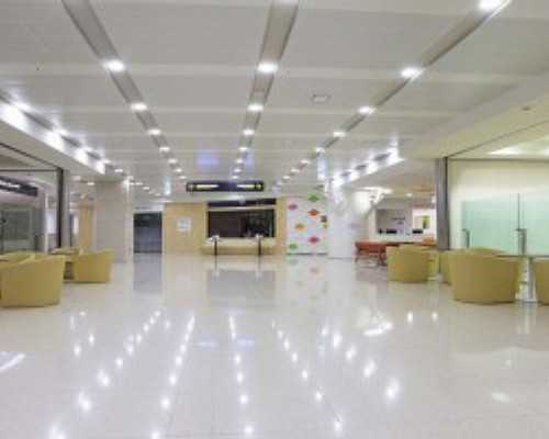 吃啥可以多排卵？有什么好方法吗？